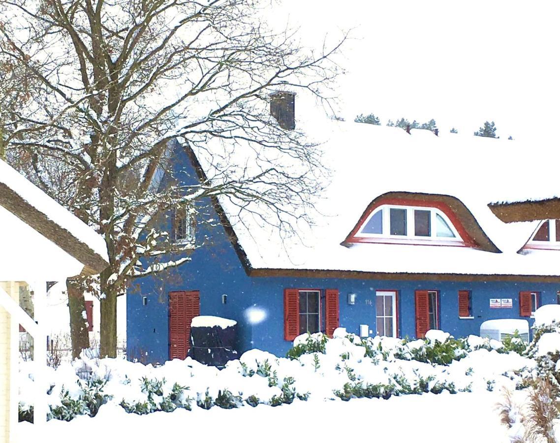 Strandhaus Lucky, Sauna, Garten, Kamin, Strandnah Glowe Zewnętrze zdjęcie