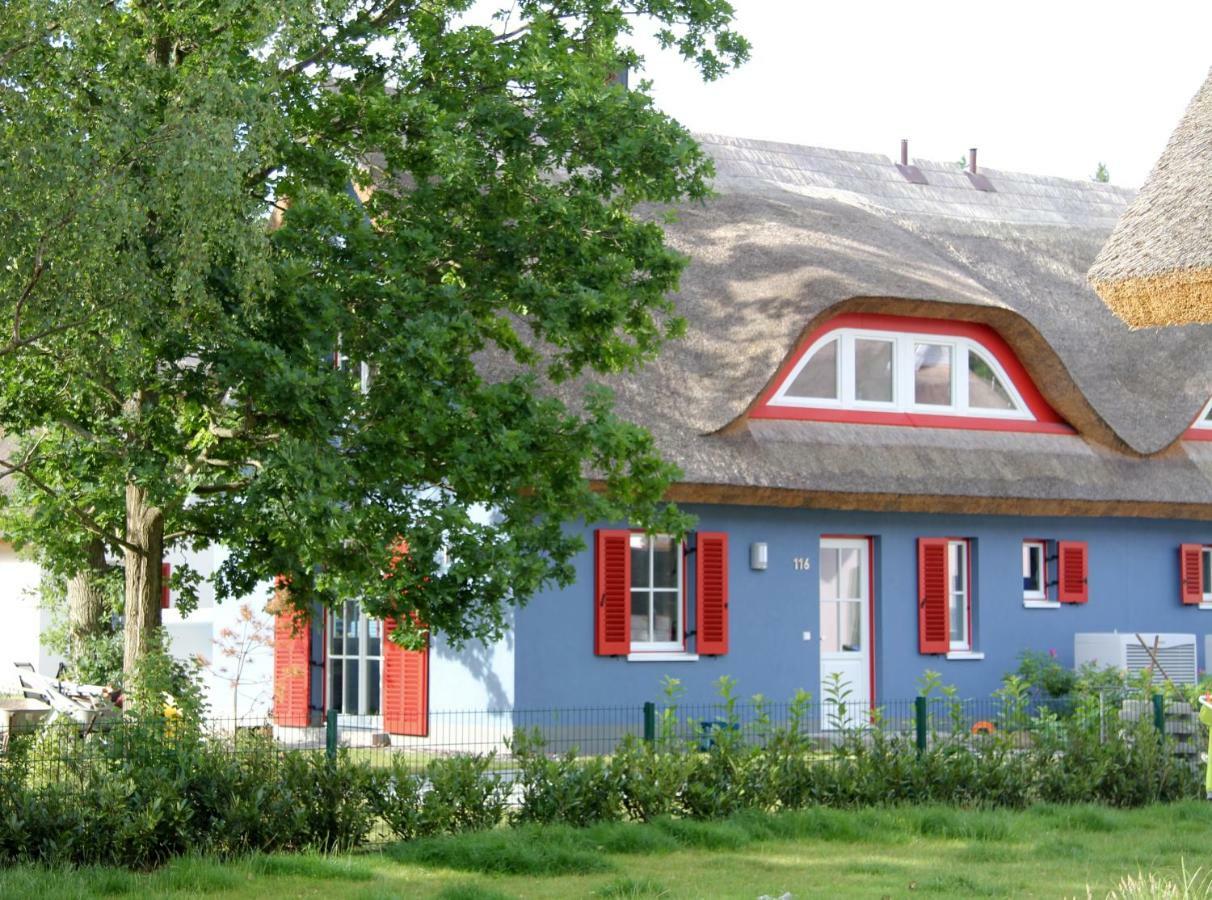 Strandhaus Lucky, Sauna, Garten, Kamin, Strandnah Glowe Zewnętrze zdjęcie